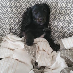 Meet your Posher, Jason